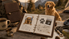 How to Turn Your Dog’s Adventures Into a Custom Pet Passport - Nordsprite