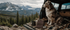 The Glovebox Essential: Why Every Pet Road Trip Needs a Heritage Travel Passport - Nordsprite