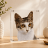 3D Custom Pet Acrylic Portrait - Nordsprite