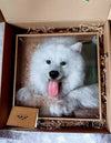 3D Custom Pet Acrylic Portrait - Nordsprite