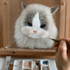 5-Layer 3D Custom Pet Portrait – Turn Your Pet Photo Into A Timeless Artwork - Nordsprite