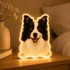 Custom Pet Night Light – Turn Your Pet Photo Into A Warm Personalized Keepsake - Nordsprite