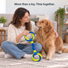 An owner sharing time with a golden retriever while holding the double-ring tug toy.