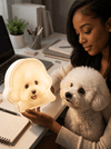 Turn their photo into a little glow at home - Nordsprite