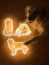 Turn their photo into a little glow at home - Nordsprite