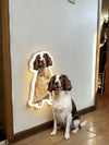 Turn their photo into a little glow at home - Nordsprite
